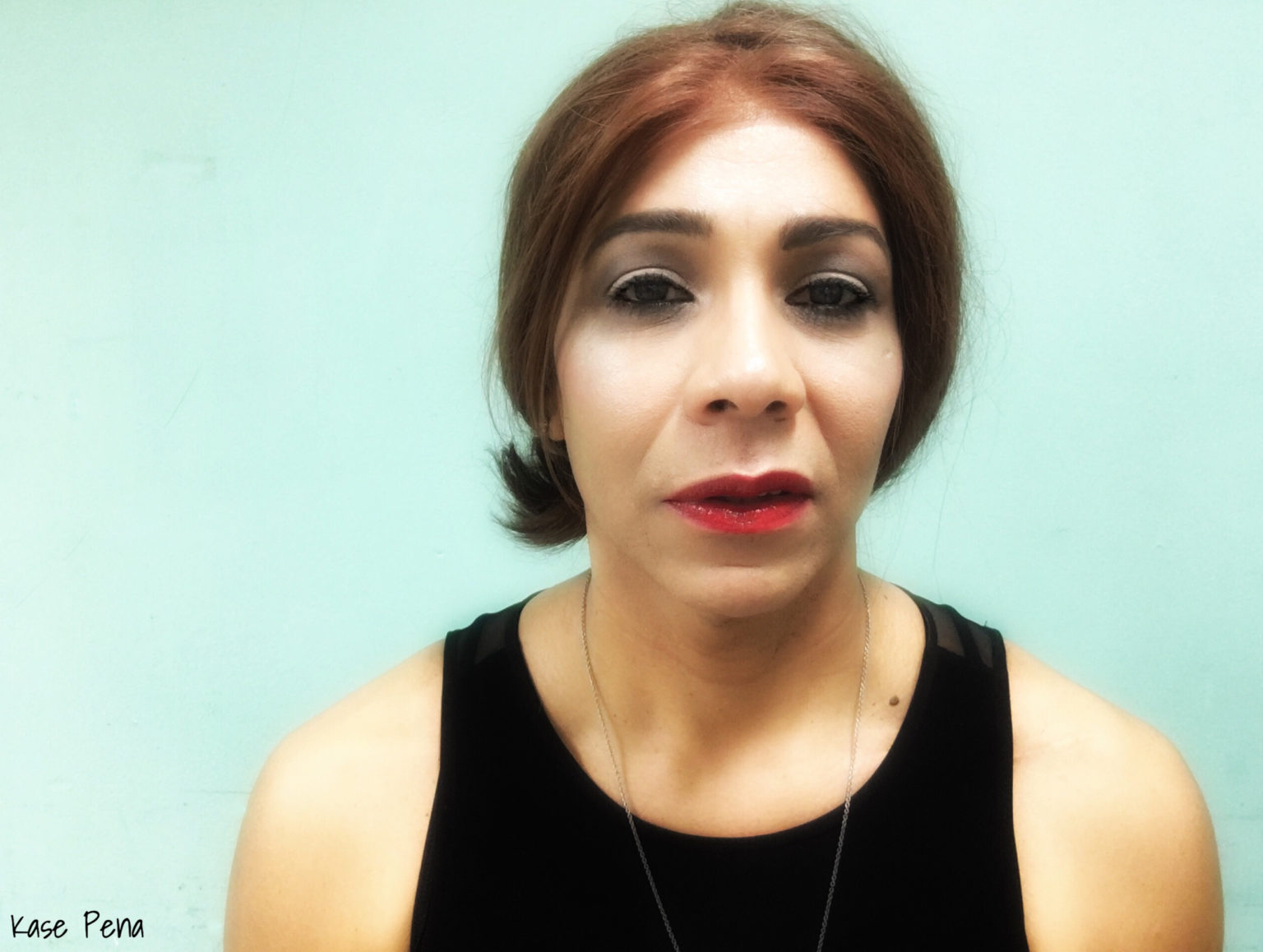 TRANS LOS ANGELES The Puffin Foundation