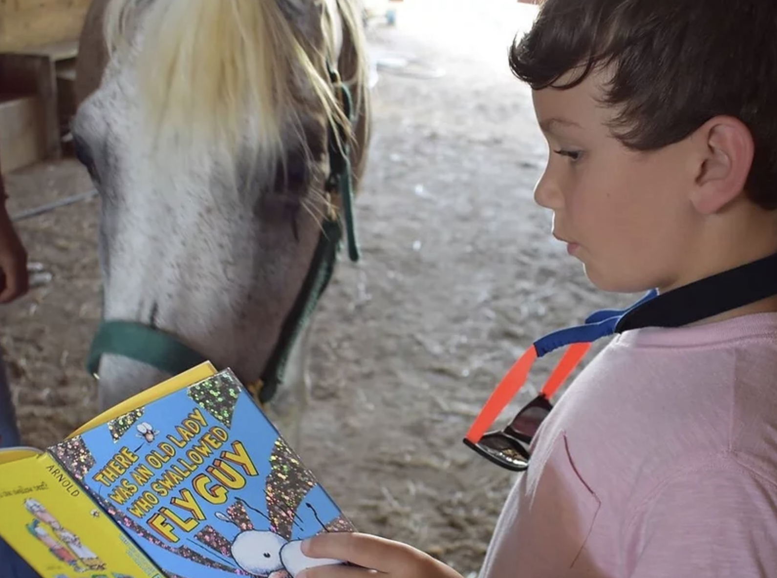 Photo shows a child of about 6 holding a book in front of a white horse whose nose is turned to and up close to the book.